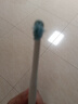 维克（Virbac）牙刷犬猫专用宠物牙膏牙刷幼猫狗狗犬猫专用口腔清洁护理（单支） 实拍图