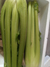 京鲜生山东新鲜大西芹净重4.5斤榨汁现挖芹菜鲜嫩蔬菜 去半叶源头直发 实拍图