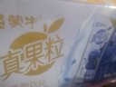蒙牛真果粒蓝莓味牛奶饮品250g*12盒 礼盒新老包装 含乳饮料送礼礼盒 实拍图