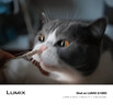 松下（Panasonic）Lumix G100D M43画幅相机 M43卡口 微单相机 无反数码相机 G100D单机+【25mmF1.7】单镜头定焦 实拍图