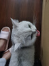 parlmu帕蓝姆全价主食猫条猫零食鱼油猫草磷虾混合口味15g*200支 实拍图