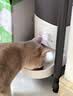 霍曼（Homerun）Real智能自动喂食器猫粮定时猫猫咪自动投食机PF20（不锈钢碗） 实拍图