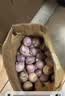 京鲜生 云南独头蒜净重2斤中果2.5-3.0cm带土发货独蒜新鲜蔬菜 源头直发 实拍图