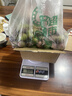 正宗四川小脆红 脆红李子 新鲜应季时令水果李子 新鲜尝鲜包邮 带箱2斤  单果12g+ 实拍图