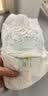 帮宝适（Pampers）清新帮拉拉裤 L大码42片超薄干爽男女宝宝通用9-11KG建议咨询客服 实拍图