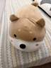 名创优品（MINISO）趴姿大号趣味狗狗公仔玩偶玩具娃娃抱枕靠枕生日礼物女 卡其色 实拍图