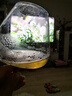 ZUEGG嘉丽百分百系列杏果酱230g 意大利进口果肉果酱面包涂抹酱瓶装 实拍图