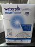 洁碧（Waterpik）冲牙器水牙线水瓶座GT3-12洗牙器系列洁牙家用台式电动洁牙机牙齿冲洗器送老公老婆七夕情人节礼物 GT3水瓶座-白色 13支喷头 实拍图