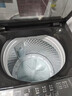 小天鹅（LittleSwan）波轮洗衣机全自动家用 10KG 直驱变频 TB10V28DT 一级能效 除菌螨 以旧换新 京东自营 出租房宿舍 实拍图