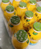 金豆芽儿童金银花柚子汁155ml*16瓶夏天孩子饮料宝宝果汁西柚汁 实拍图