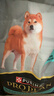 冠能狗粮消化舒适成犬狗粮全价2.5kg 天然益生元配方 改善肠胃敏感 实拍图