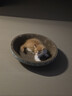 疯狂的主人猫抓板窝碗形大号猫抓盆不掉屑猫窝宠物猫玩具瓦楞纸猫爪板 实拍图