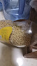 十月稻田 黄豆 2斤 东北大豆 非转基因 打豆浆料包 发豆芽 营养速食早餐 实拍图