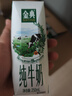 伊利【新鲜日期】金典纯牛奶早餐奶250ml*16盒3.6g乳蛋白 礼盒装 实拍图