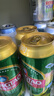 青岛啤酒（TsingTao）经典 500ml*18罐整箱装（多厂生产随机发货） 实拍图