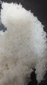 珍粒香特等五常大米新国标 原粮稻花香2号大米优选原粮油亮香软当季新米 【寒地之巅】特等五常大米500g「品质尝鲜」 实拍图