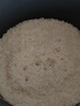 苏泊尔（SUPOR）有钛0涂层新品速嫩蒸鲜呼吸电压力锅5L超高压120kPa 2000W上蒸下煮电饭煲4-6人SY-50FC5051 实拍图