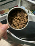 网易严选全价猫粮4.0 宠物主粮成幼猫无谷多重禽肉高蛋白 鸡鸭禽肉味10kg 实拍图