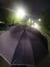 天堂伞 加大雨伞三折 经典格纹商务伞10骨大雨伞男女 紫兰 实拍图