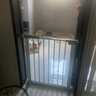 【京东快递】宠物狗狗围栏猫咪围栏栅栏栏杆猫门栏猫拦狗笼隔离门 【加厚加密】适用宽度69.5-76cm 078高 实拍图
