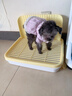 HELLOJOY狗狗厕所中小型犬防踩屎尿盆宠物用品小狗狗砂盆拉屎便盆专用大号 实拍图