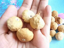 徽天赐农科院新疆三蒸三晒无花果干无糖无添加孕妇即食特大果黄体酮零食 【健康0添加】三蒸三晒无花果干（100g*1袋） 实拍图