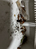 榄菊蟑香4单圈*8盒蟑螂药全窝端家用灭蟑螂蚊香 驱杀蟑螂烟熏烟雾剂 实拍图