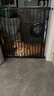 疯狂小狗狗粮金毛拉布拉多萨摩耶边牧 宠物幼犬成犬10kg犬粮 20斤牛肉味 实拍图