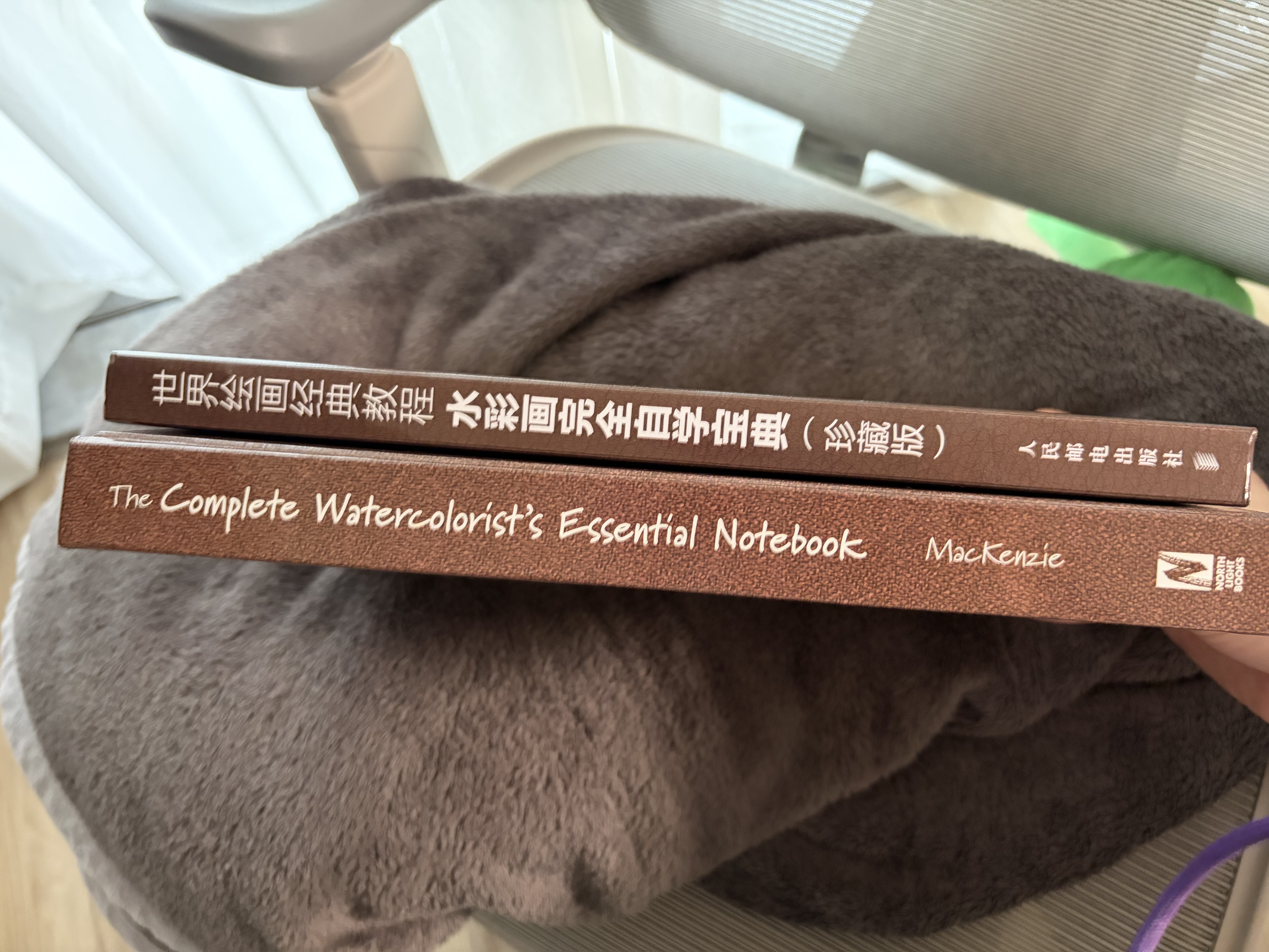 世界绘画经典教程：水彩画完全自学宝典（珍藏版）（绘客出品） 实拍图
