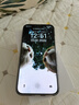 荣耀X80 Pro Max 12+512 月影白 11000mAh大电池 金标抗摔 AI 长续航手机 X70系列新款 国家补贴 实拍图