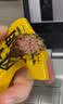 科尔沁手撕风干牛肉干 原味500g量贩装 休闲零食肉干肉脯特产保真牛肉干 实拍图