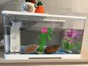 森森鱼缸过滤器三合一内置小型水族箱过滤系统增氧泵XQP-1000F 15W 实拍图