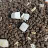 喔喔（WOWO）全价猫粮 经典大蓝包冻干三鲜 成猫幼猫通用猫干粮 鳕鱼虾3kg 实拍图