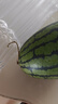 现摘现发2k西瓜当季手剥薄皮小糖丸西瓜新鲜水果冰糖子小西瓜 5-6斤（2-3个） 实拍图