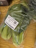 【水果菜】荷兰水果黄瓜约400g 实拍图