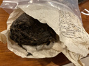 恬和云南普洱茶熟茶小沱茶勐海陈香茶叶10年陈糯香普洱熟茶100克 实拍图