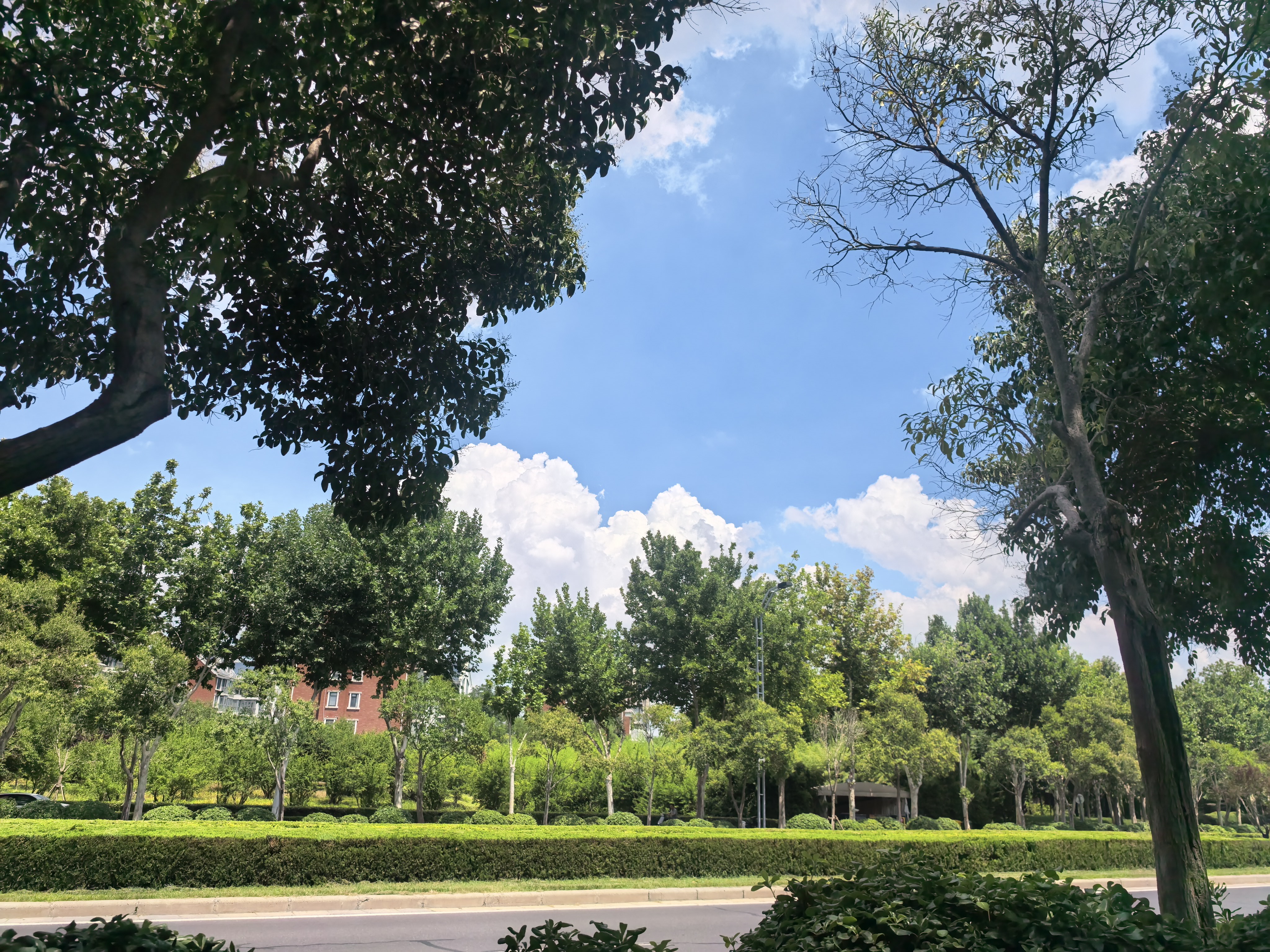 YSL圣罗兰圣罗兰黑管镜面唇釉 442# 5.5ml礼物唇蜜七夕冰透酒棕 实拍图