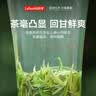 乐品乐茶特级明前碧螺春绿茶2026新茶浓香耐泡口粮茶叶250g冷泡茶自己喝 实拍图