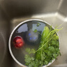 东菱（Donlim）升级转转果蔬清洗机 自动洗菜机 洗菜消毒神器 无线便携清洗机 DL-1326 DL-1326【蓝色】 实拍图