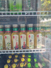 农夫山泉东方树叶茉莉花茶500ml*15瓶无糖茶饮料0糖0脂0卡整箱装 实拍图