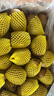 佳沛（zespri）新西兰阳光金奇异果40粒全家福 10斤原箱猕猴桃水果礼盒源头直发 实拍图