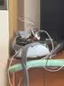 御道砭石艾灸罐中医同款火龙罐双层防烫随身灸艾灸馆专用刮痧按摩器 实拍图