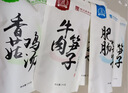 康富源老开元 绵阳米粉正宗四川特产地方特色牛肉肥肠粉丝米粉细米线240g*5袋 5口味混合5袋 实拍图
