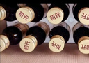 初元江中复合肽营养液饮品I型补品探病免疫力长辈康复礼品100ml*10瓶 实拍图