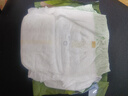 babycare金山茶花拉拉裤XL34片(12-17kg)婴儿尿不湿超薄透气新生柔花苞裤 实拍图