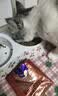 宝诺滋烘焙猫粮全价全期无谷鲜肉猫粮成猫幼猫专用高蛋白鲜肉粮赠试用装 【限量抢购】试吃装50g*5袋 实拍图