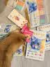 朗诺 RANOVA 猫零食冻干棒棒糖14g混合味 实拍图