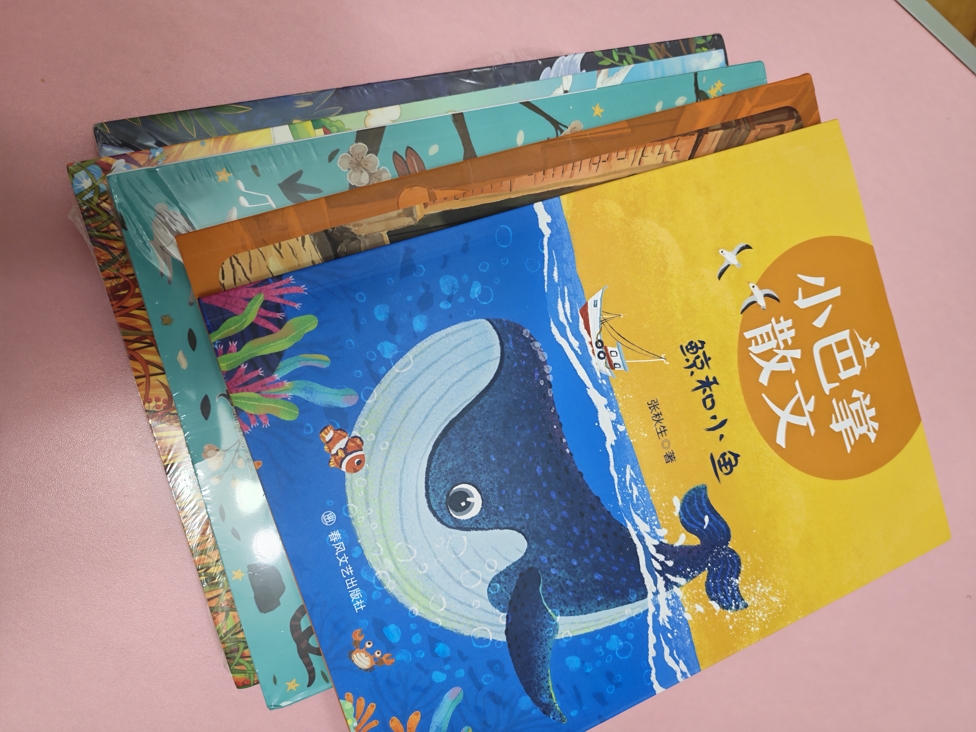 夏览华章 一升二升三升四升五升六 春晓裁缝店 小巴掌散文鲸和小鱼 风和雨的规律 非正式的公园 呼兰河的一年四季 文明的奇迹时间晶体 2026暑假 春晓裁缝店 春晓裁缝店 二升三5本套装 5本套装 实拍图