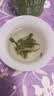 七春2026绿茶信阳毛尖新茶河南特产小罐装冷泡茶品鉴茶叶30g 实拍图