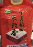 十月稻田 长粒香大米 20斤（东北大米 香米 10kg/公斤） 实拍图